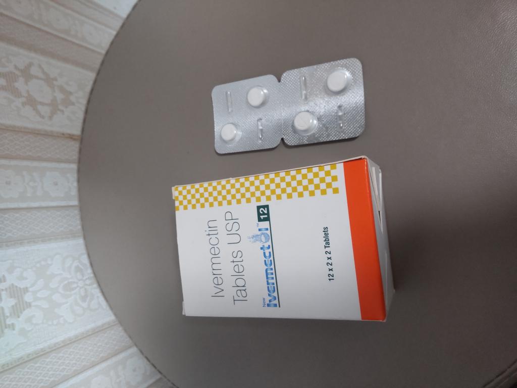 イベルメクチナ ビタパン リーフレット