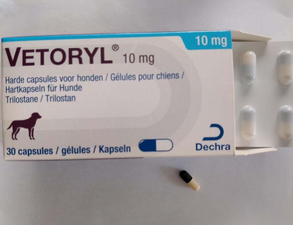 べトリル10mg[アドレスタン海外版]通販｜腎臓・ホルモン・泌尿器｜犬