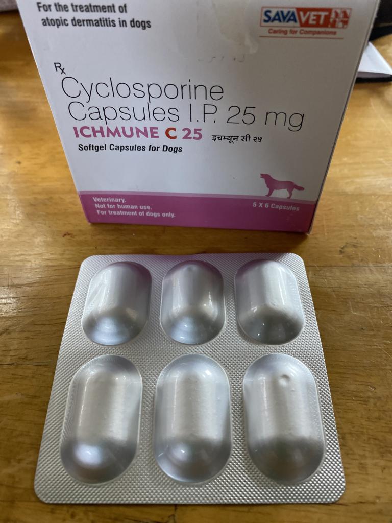 アイチュミューンC25mg[アトピカ同成分]通販｜アトピー・アレルギー