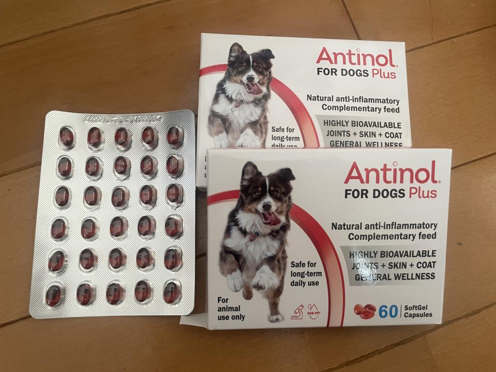 アンチノールプラス犬用60カプセル（ドイツ製）通販｜サプリメント｜犬
