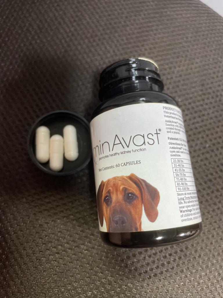 アミンアバスト（犬用）通販｜腎臓・ホルモン・泌尿器｜犬｜ペットのお