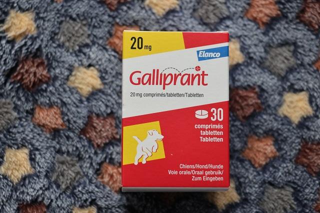 ガリプラント20mg通販｜痛み止め・抗炎症剤｜犬｜ペットのお薬うさパラ