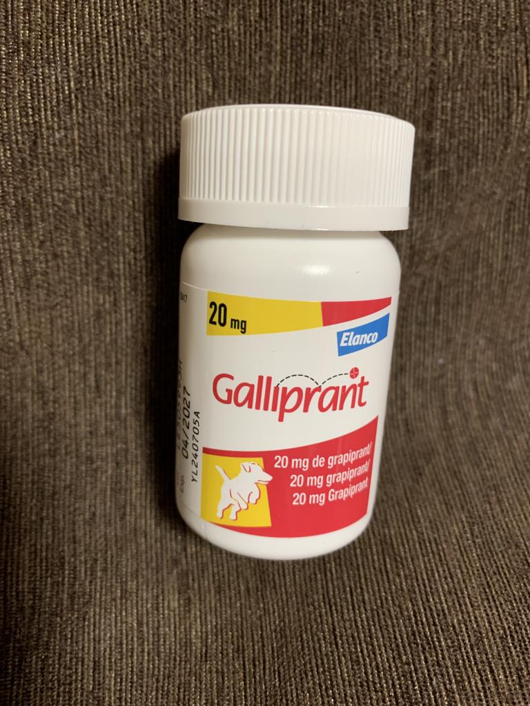 ガリプラント20mg通販｜痛み止め・抗炎症剤｜犬｜ペットのお薬うさパラ