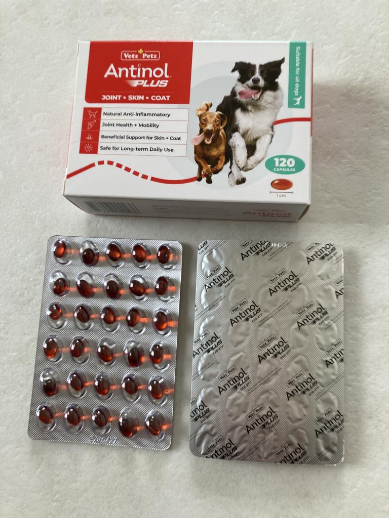 アンチノールプラス犬用120カプセル通販｜サプリメント｜犬｜ペットの