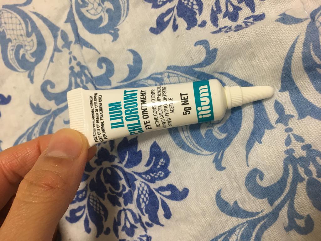 イリウムクロロイント眼軟膏レビュー｜犬猫ペットのお薬通販うさパラ