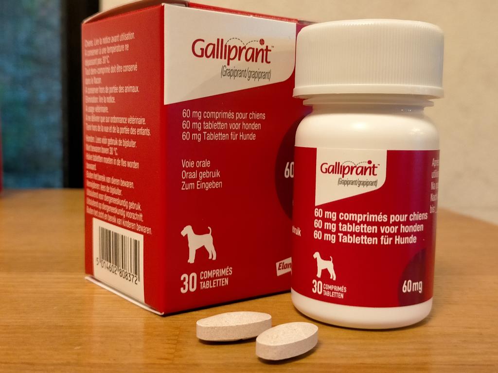 ガリプラント60mgレビュー｜犬猫ペットのお薬通販うさパラ