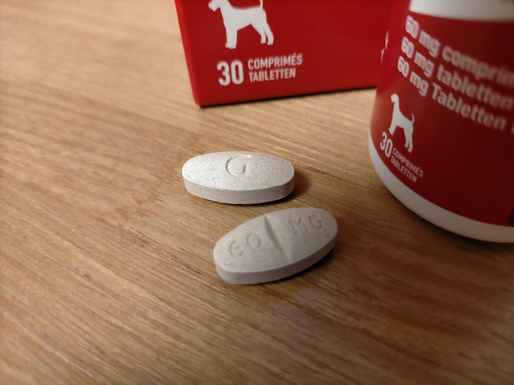 ガリプラント60mgレビュー｜犬猫ペットのお薬通販うさパラ