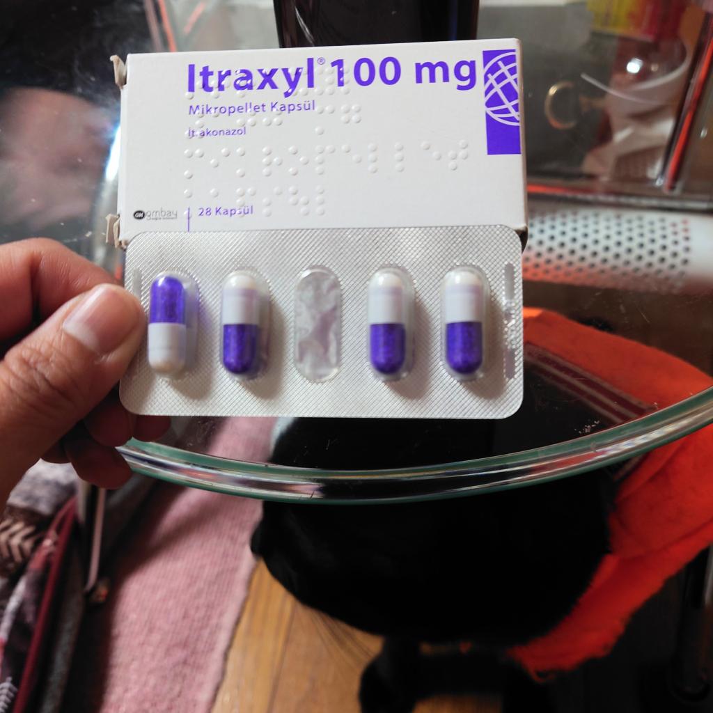 いとらべっと イトラキシル100mg[イトリゾールジェネリック]通販｜抗生物質｜犬
