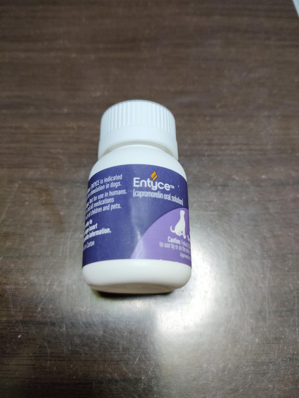 エンタイス15mLレビュー｜犬猫ペットのお薬通販うさパラ