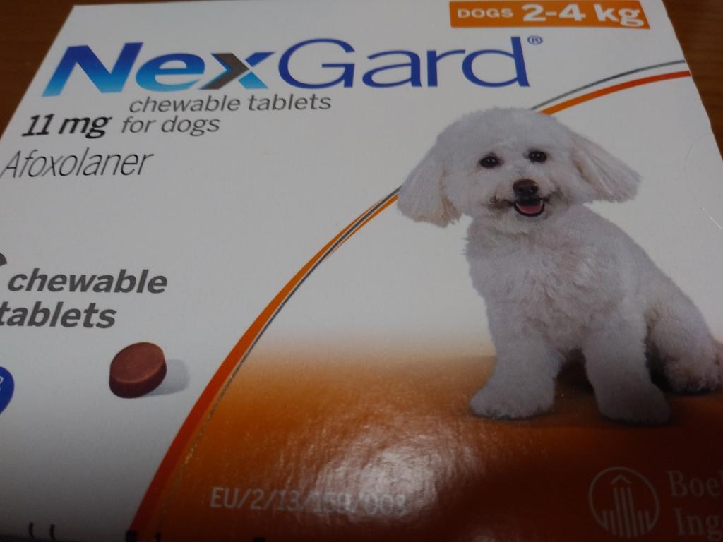 ネクスガード 超小型犬・子犬用（2～4kg）レビュー｜犬猫ペットのお薬