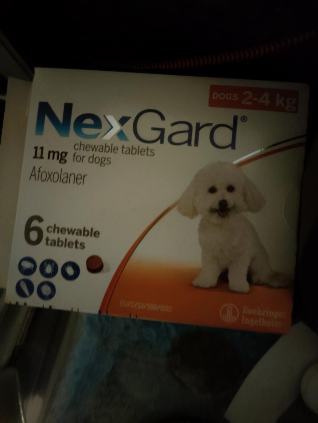 ネクスガード（2～4kg）レビュー｜犬猫ペットのお薬通販うさパラ