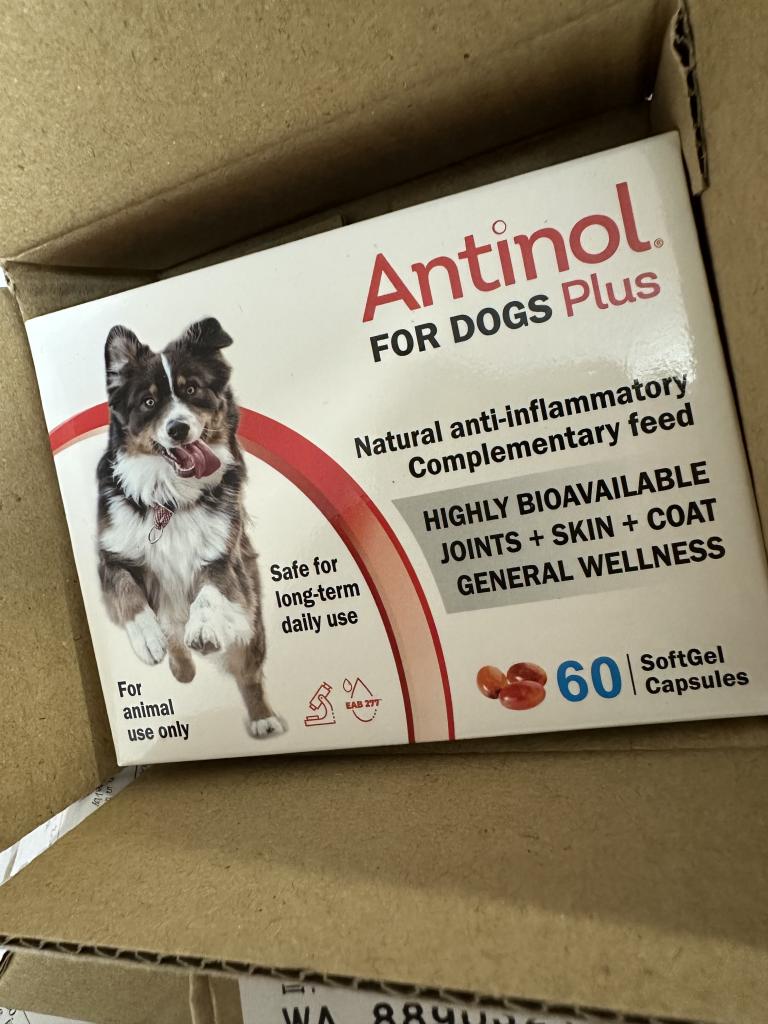 アンチノールプラス犬用60カプセル（ドイツ製）通販｜サプリメント｜犬