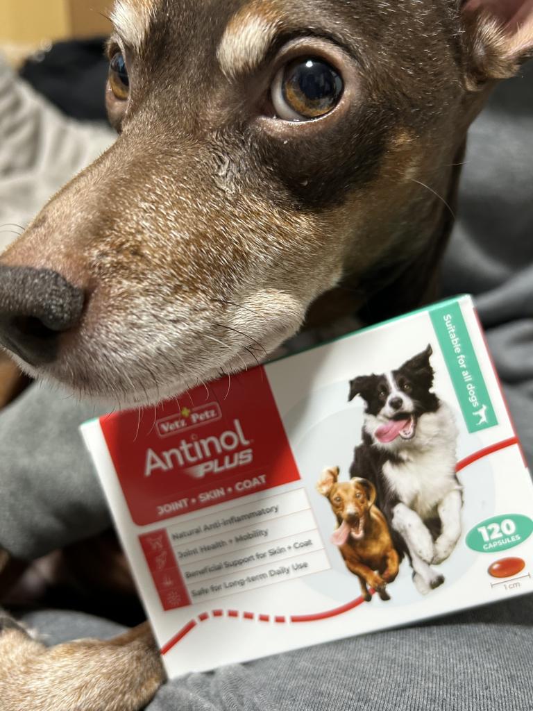 アンチノールプラス犬用120カプセル通販|サプリメント|犬 アンチノールプラス犬用120カプセル通販|サプリメント|犬