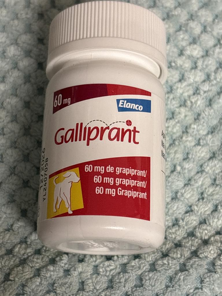 ガリプラント60mg通販｜痛み止め・抗炎症剤｜犬｜ペットのお薬うさパラ