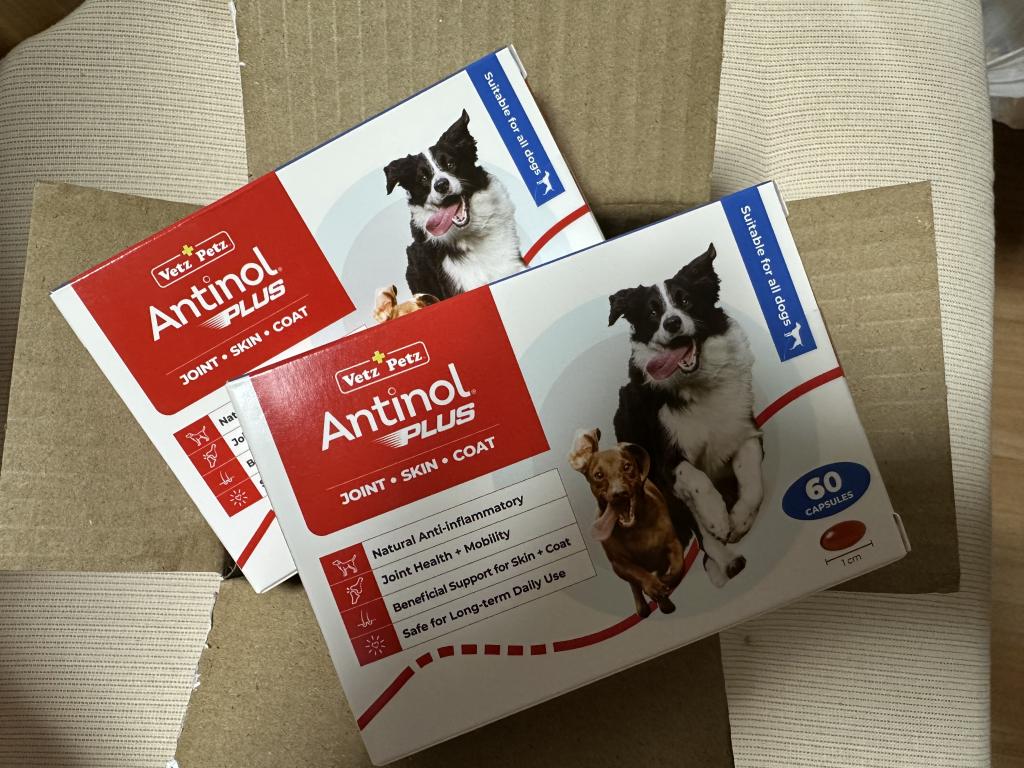 アンチノールプラス犬用60カプセル通販｜サプリメント｜犬｜ペットのお