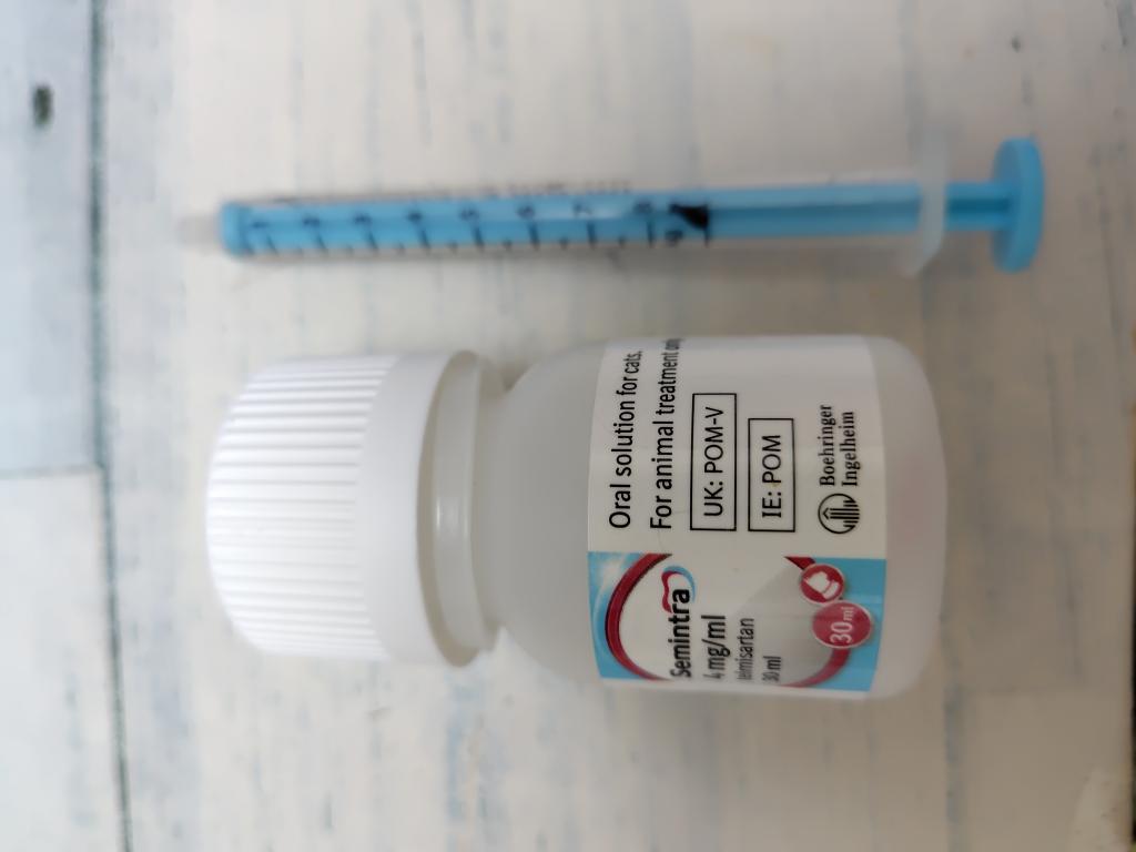 セミントラ　猫用 セミントラ®10mg/mL経口液猫 | 製品情報 | ゼノアック［日本全薬工業］
