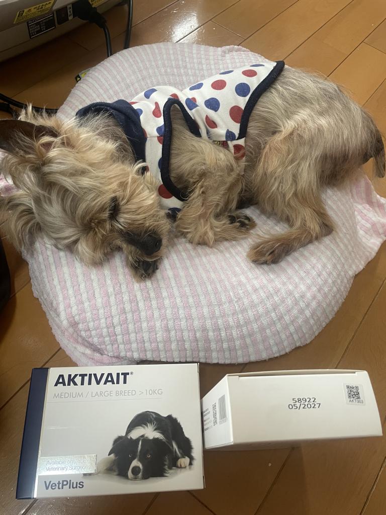 VetPlus アクティベート（中・大型犬用／10kg～）通販｜サプリメント