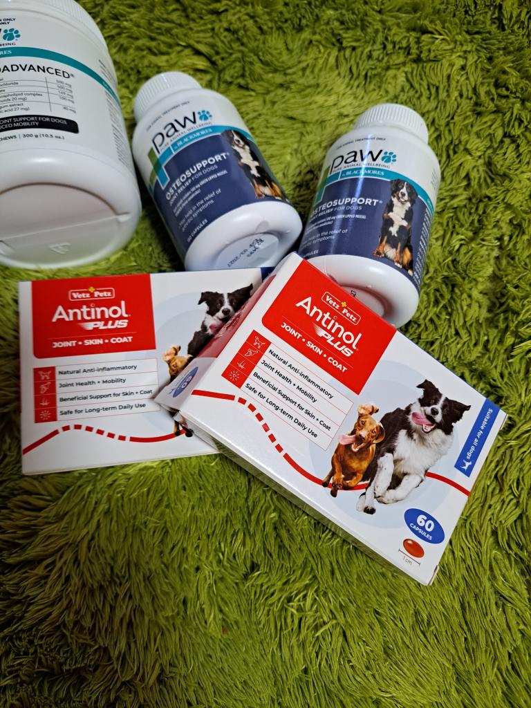 アンチノールプラス犬用60カプセル通販｜サプリメント｜犬｜ペットのお