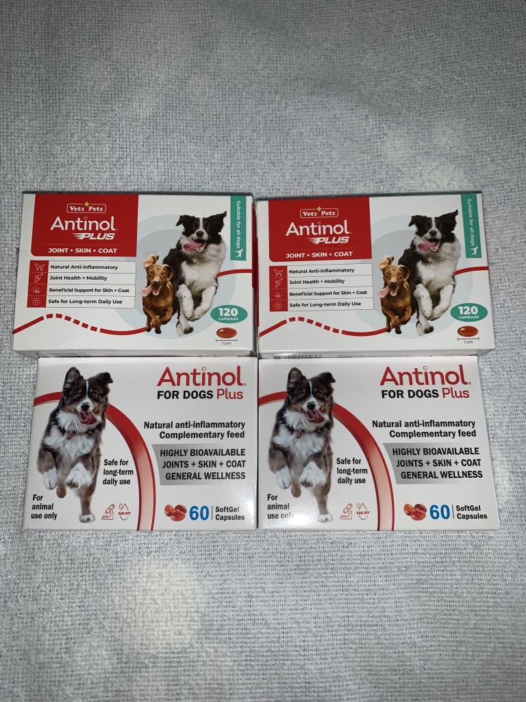 アンチノールプラス犬用60カプセル（ドイツ製）レビュー｜犬猫ペットの