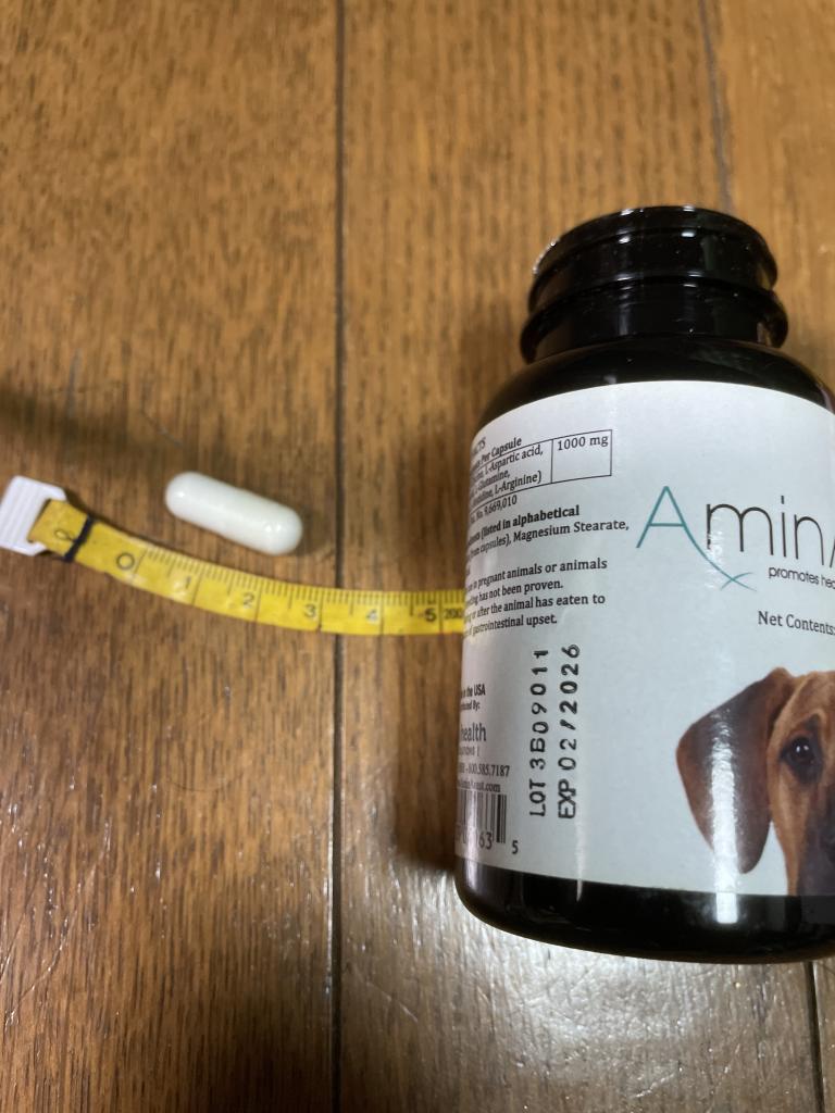 アミンアバスト（犬用）レビュー｜犬猫ペットのお薬通販うさパラ