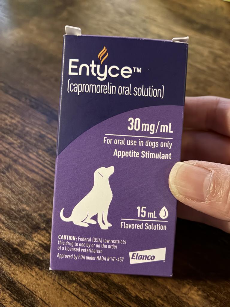 [新品未開封と使用済] エンタイス Entyce 食欲刺激剤 犬用　2本セット 2026年最新】エンタイス 犬の人気アイテム - メルカリ