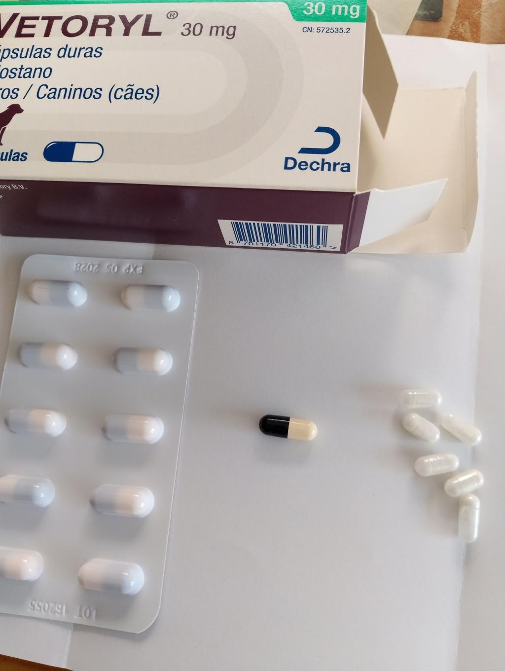べトリル30mg[アドレスタン海外版]通販｜腎臓・ホルモン・泌尿器｜犬