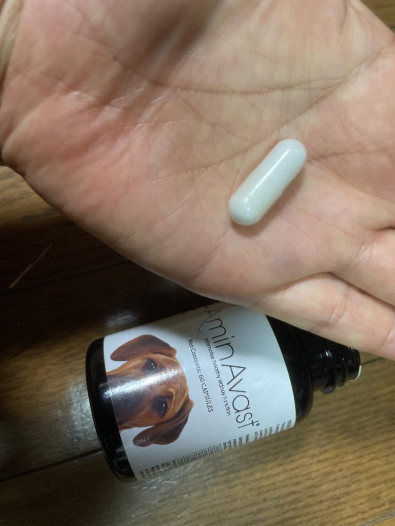 アミンアバスト（犬用）レビュー｜犬猫ペットのお薬通販うさパラ